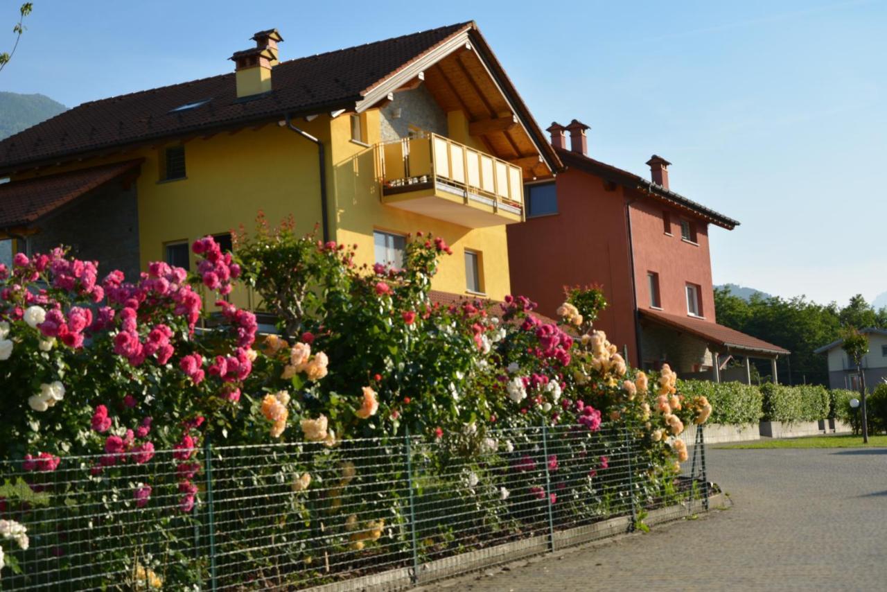 Residence Girasole Casa Gialla 科利科 外观 照片